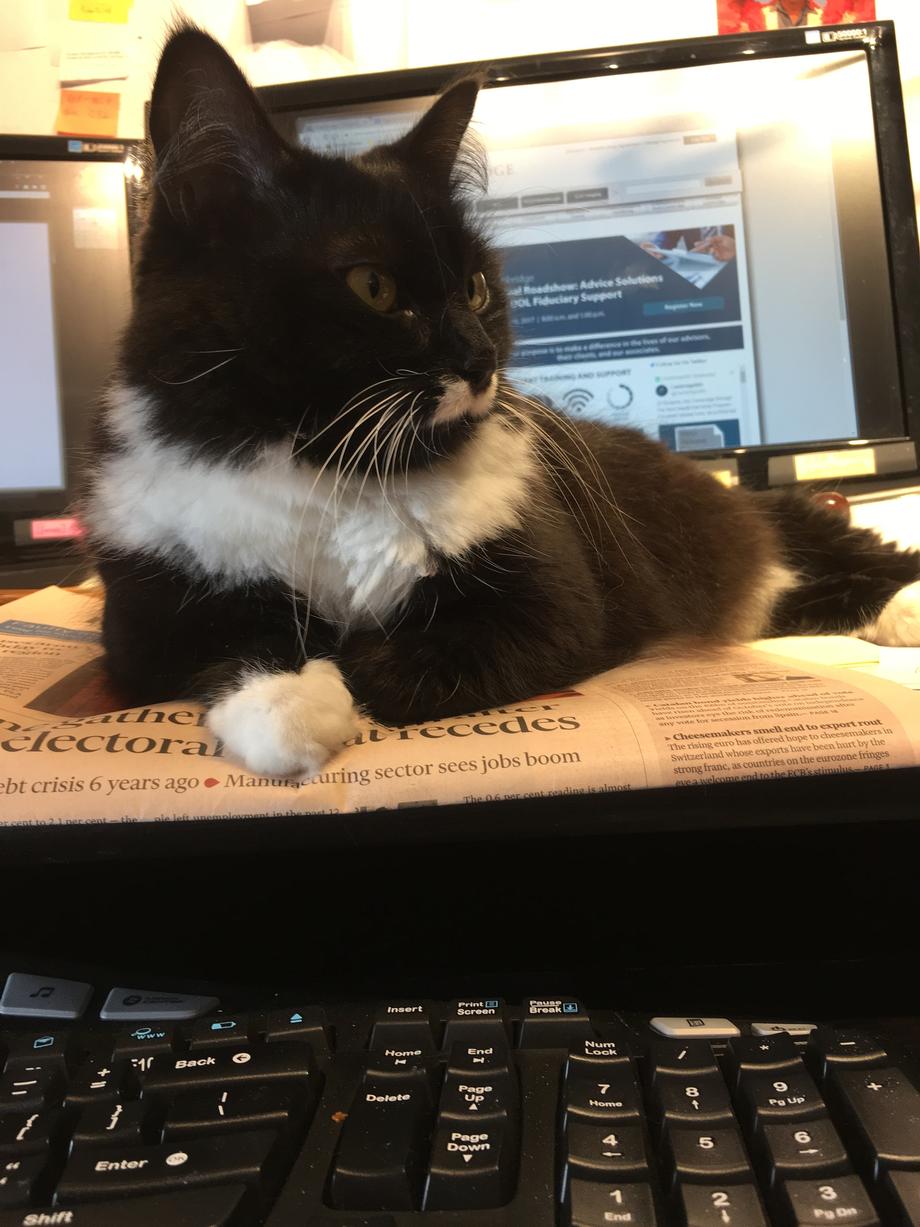 Our Firm Tiger Investment Services LLC